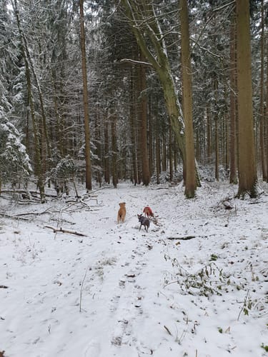 Erdweg und Sulzemoos