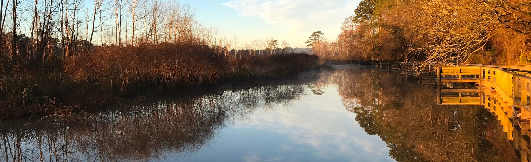 AllTrails Deer Ridge and River Grove Park Loop 109 Reviews, Map Texas