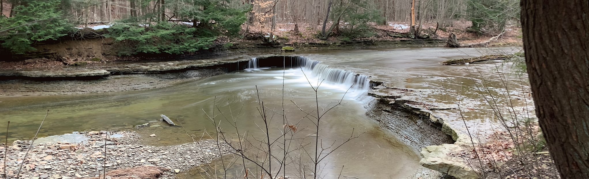 Bluebell Valley Path, Ohio 274 Reviews, Map AllTrails
