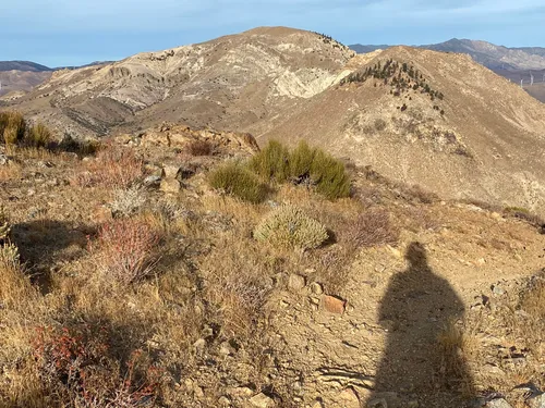 Cross Mountain and Chuckwalla Mountain, California - 9 Reviews