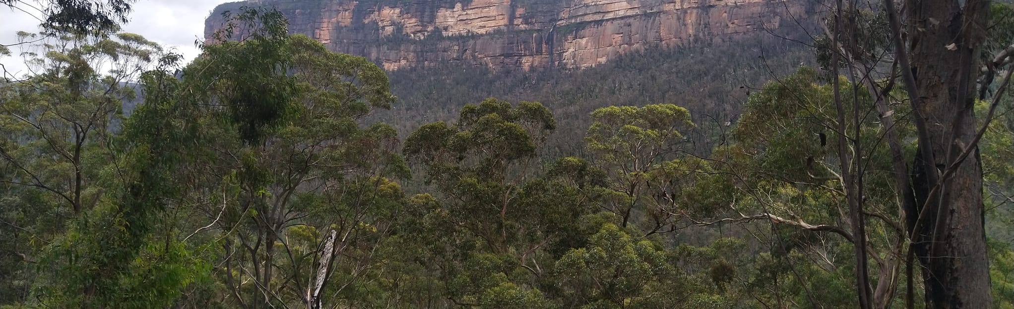 Pierces Pass to Blue Gum Forest Walking Track 47 Reviews, Map New South Wales, Australia