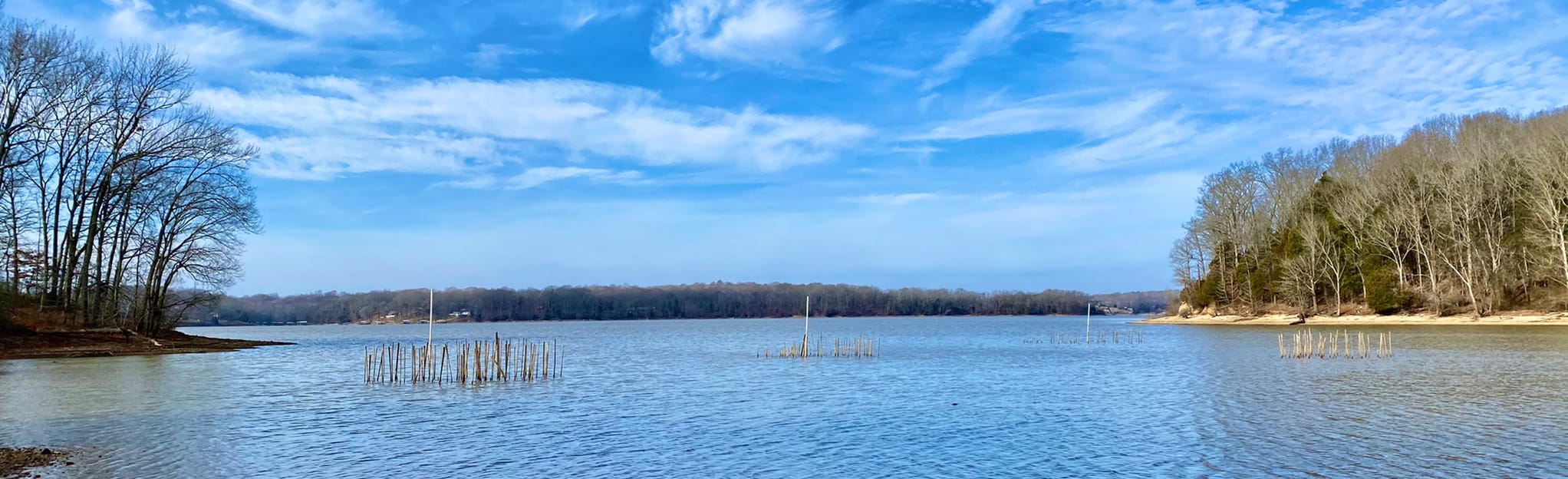 Lake Barkley Blue Springs Trail, Kentucky 72 Reviews, Map AllTrails