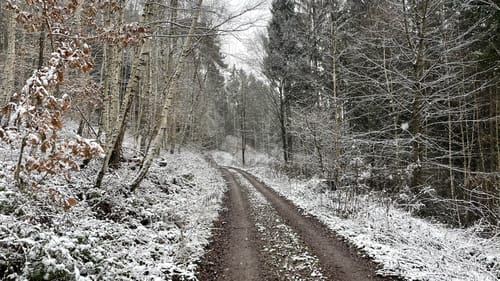 Erlebniswald Fasanerie