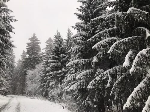 Hufeisenrunde