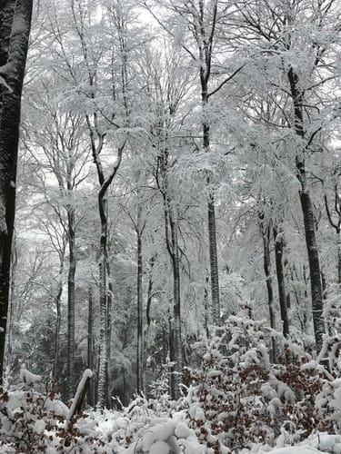 Hufeisenrunde