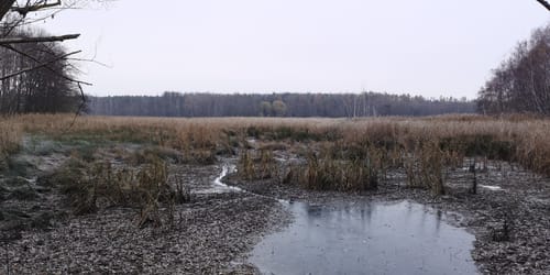 Kühren - Wermsdorf - Collm - Oschatz
