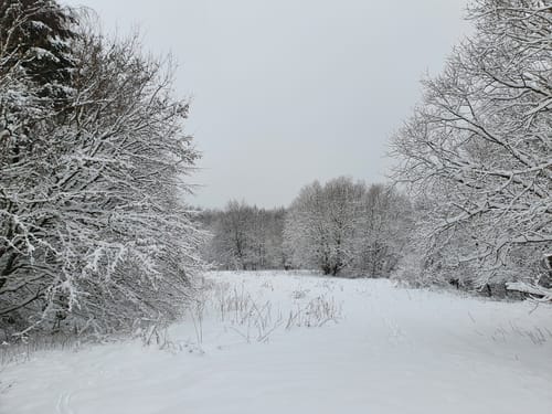 Am Füsselberg