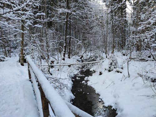 Jubiläumspfad Hagenbachidylle Trossingen/Aixheim