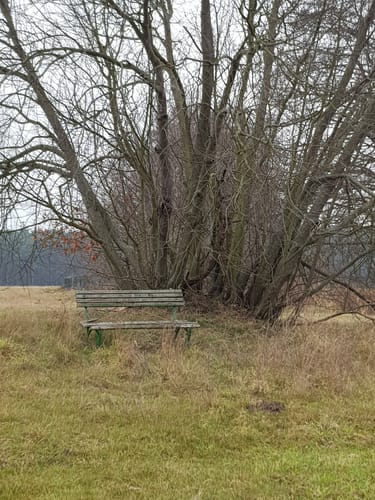 Kauppa: Runde beim Großen Heikteich