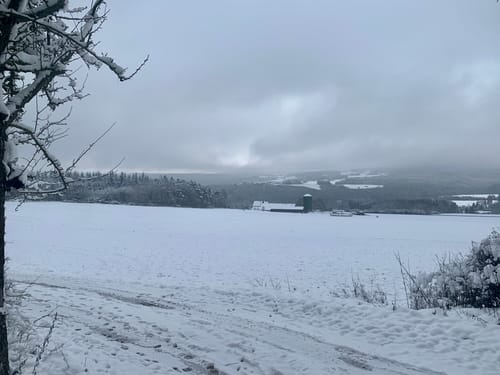 Hoffelder Basaltsee
