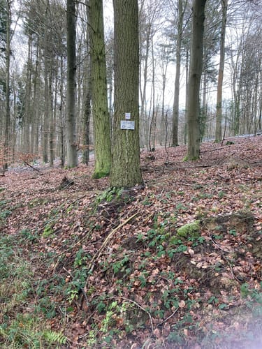 Vier Kapellen Weg