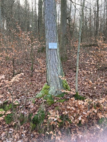 Liebliches Taubertal