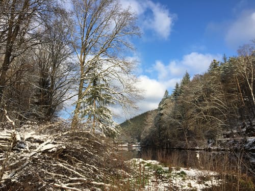 Rund um den Eiswoog