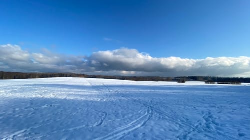 Von Rothenberg nach Hirschhorn