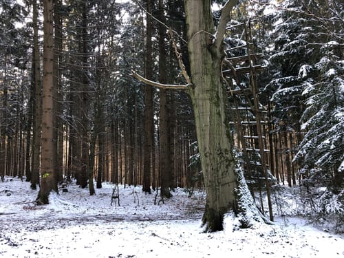 Kleine Runde im Derchinger Wald