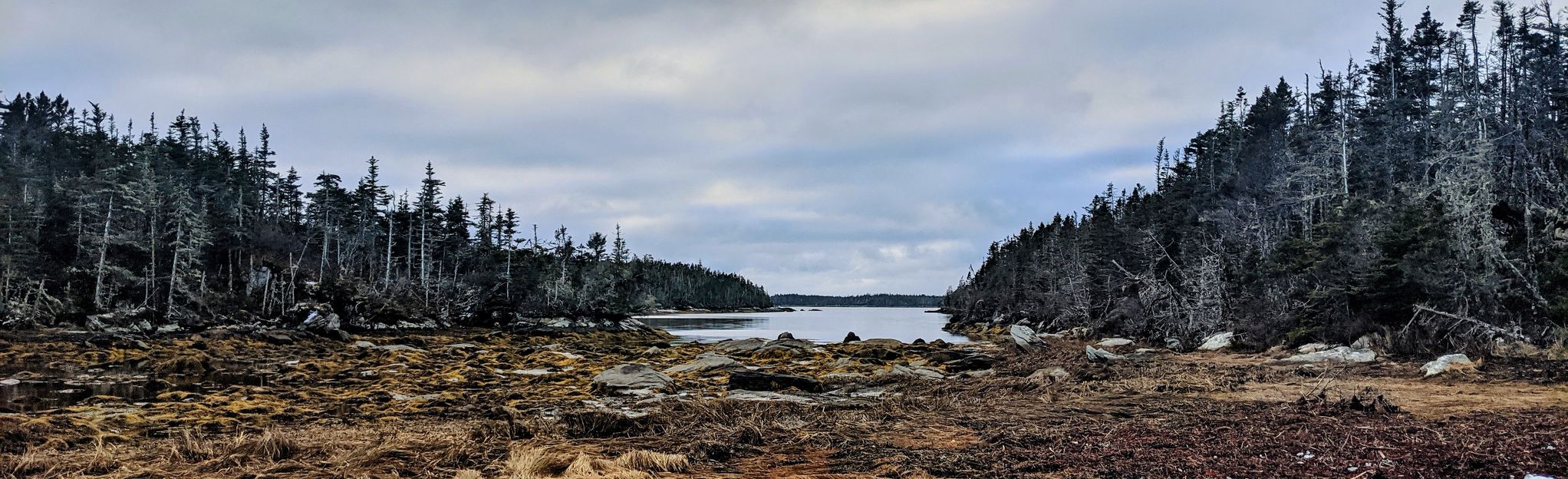 Shelter Cove Trail Nova Scotia Canada 89 Reviews Map AllTrails   EyJidWNrZXQiOiJhc3NldHMuYWxsdHJhaWxzLmNvbSIsImtleSI6InVwbG9hZHMvcGhvdG8vaW1hZ2UvMzI3MDIxMDAvNTNiYzg4ZDJhY2JlNTU0ZDkzNDIyNzE3OTk0ZTFlMGUuanBnIiwiZWRpdHMiOnsidG9Gb3JtYXQiOiJqcGVnIiwicmVzaXplIjp7IndpZHRoIjoyMDQ0LCJoZWlnaHQiOjYyNCwiZml0IjoiY292ZXIifSwicm90YXRlIjpudWxsLCJqcGVnIjp7InRyZWxsaXNRdWFudGlzYXRpb24iOnRydWUsIm92ZXJzaG9vdERlcmluZ2luZyI6dHJ1ZSwib3B0aW1pc2VTY2FucyI6dHJ1ZSwicXVhbnRpc2F0aW9uVGFibGUiOjN9fX0=