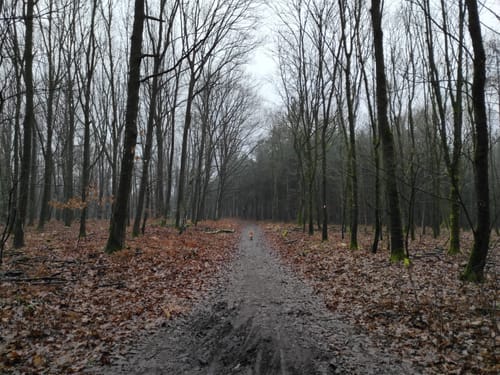 Haard Runde 02: Zum dicken Stein