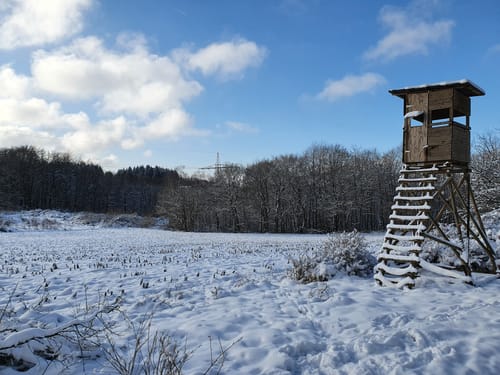 Eitzweiler: Mühlenberg Runde