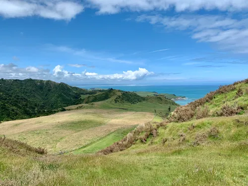 Best Walking Trails In Urenui | AllTrails