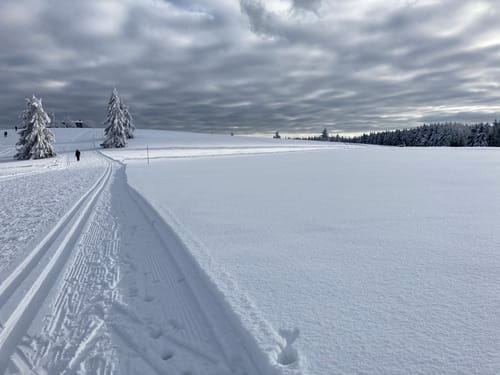 Aus Wildflecken auf den Feuerberg