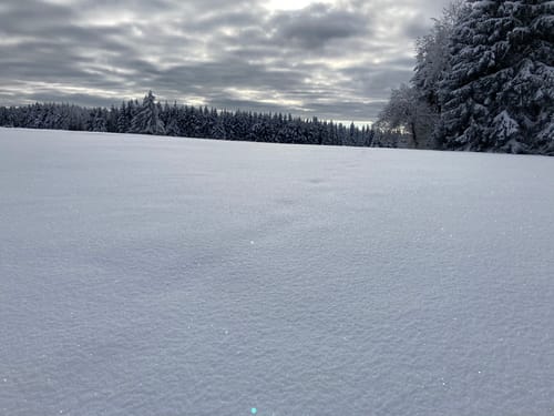 Aus Wildflecken auf den Feuerberg