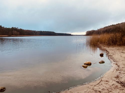 Um den Bergsee Alt Gaarz