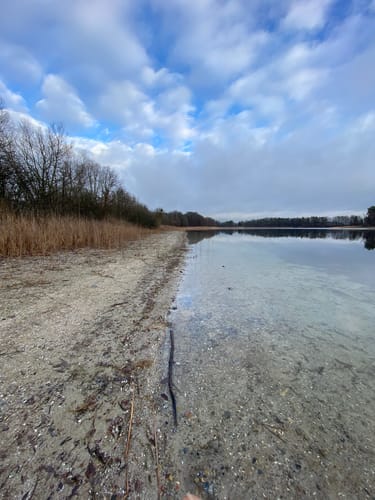 Um den Bergsee Alt Gaarz