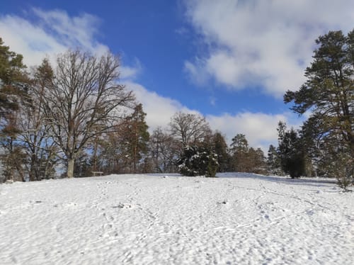 Aus Deckenpfronn in die Heide