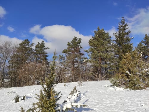 Aus Deckenpfronn in die Heide