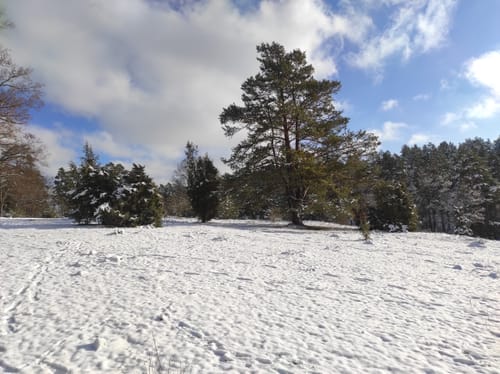 Aus Deckenpfronn in die Heide
