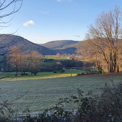 Nibelungensteig Etappe 6: Amorbach - Miltenberg