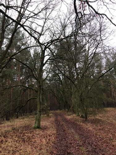 Runde bei Dobbrikow