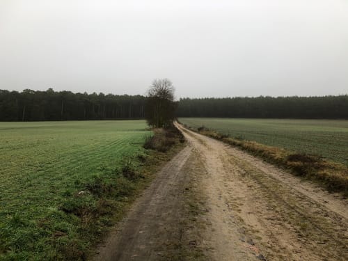 Runde bei Dobbrikow