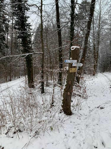 Zur Picknickhütte am Pfaffenberg