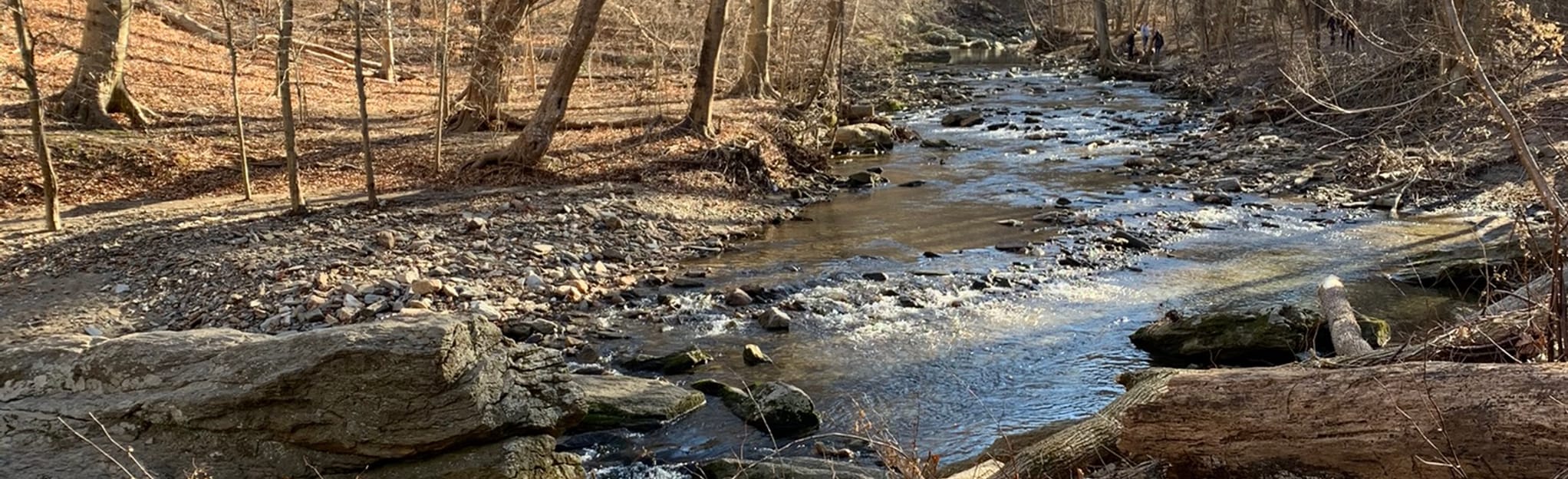 Rolling Hills Creek Trail 891 Reviews, Map Pennsylvania AllTrails