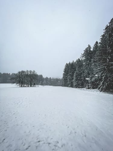 Von Schiederhof auf dem Naturweg Kobelberg