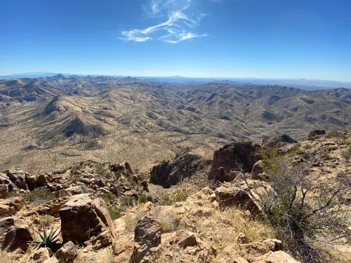 10 Best Hikes and Trails in Tonto National Forest | AllTrails