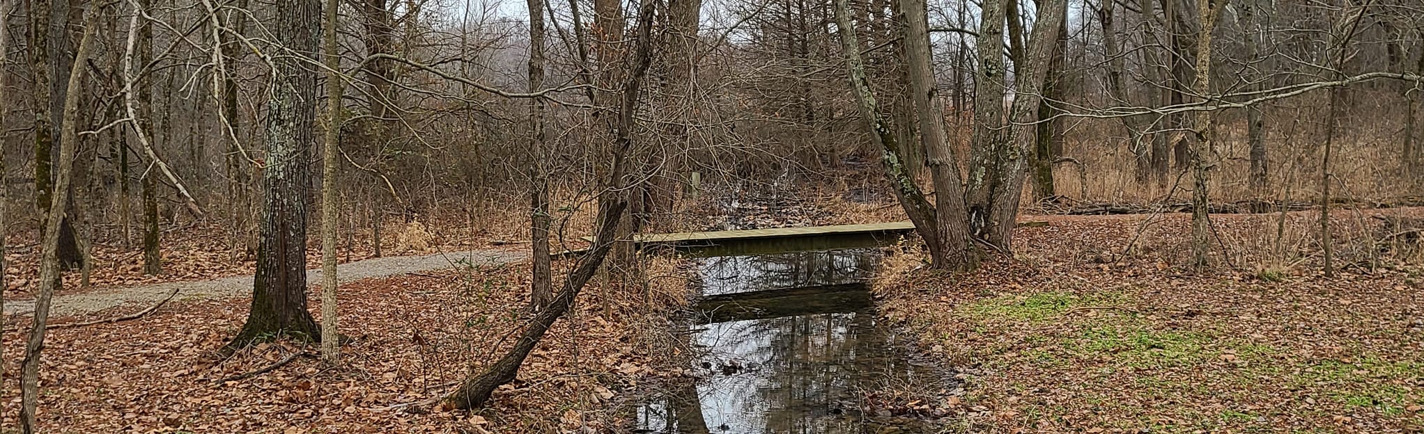 Lake Trail from Hickory Hill Picnic Area 12 Reviews, Map Illinois