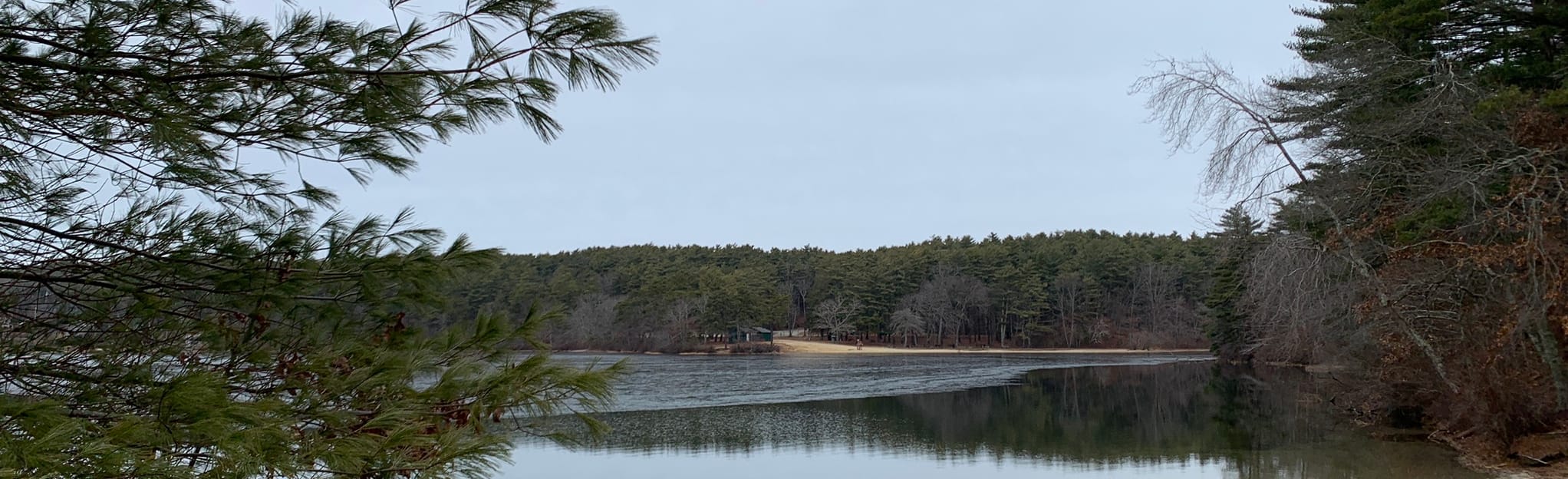 Little Pond Loop, Massachusetts 476 Reviews, Map AllTrails