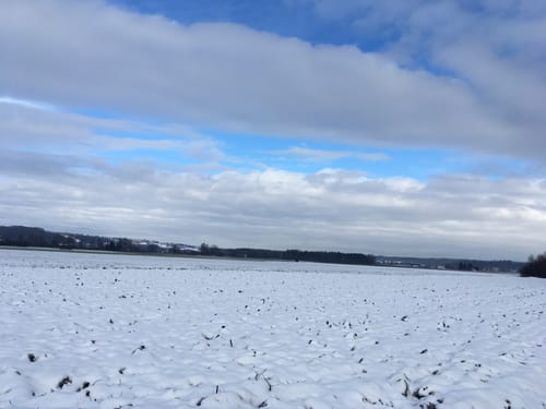 Rund um Staig