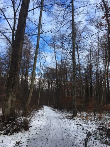 Rund um Staig