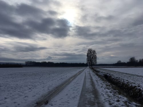 Rund um Staig