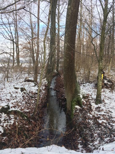 Rund um Staig