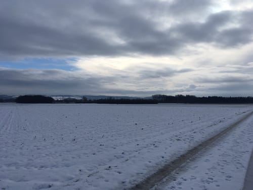 Rund um Staig