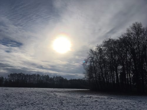 Rund um Staig