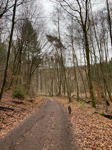 Hassel: Eulen-Rundwanderweg