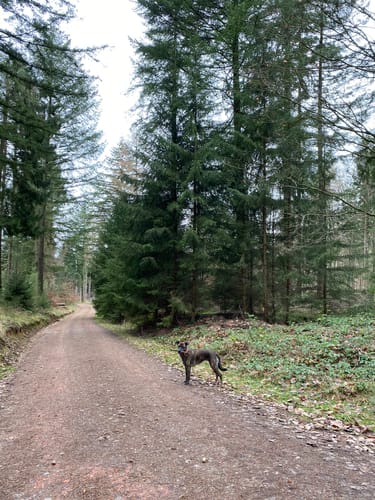 Hassel: Eulen-Rundwanderweg