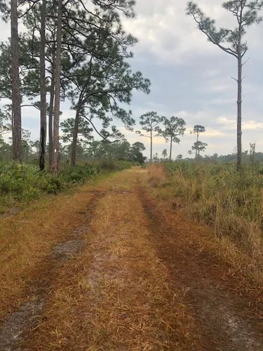 Best Hikes and Trails in Jonathan Dickinson State Park | AllTrails