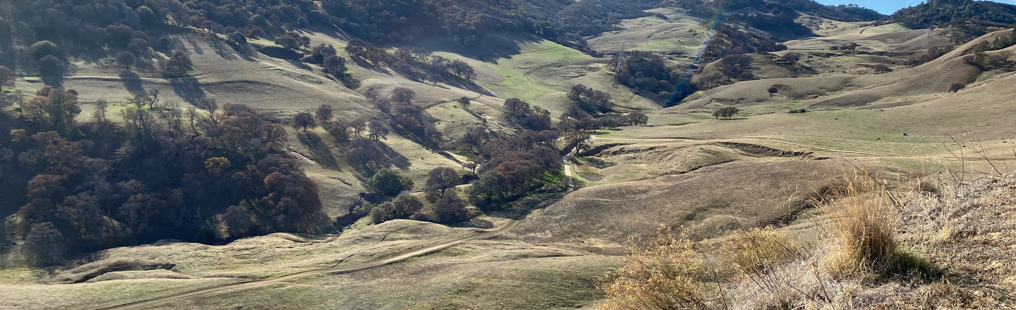 Ridge Trail, Corcoran Mine Trail, and Stewartville Trail Loop 269