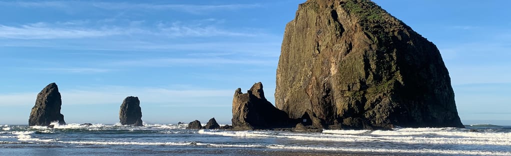 are dogs allowed on cannon beach oregon